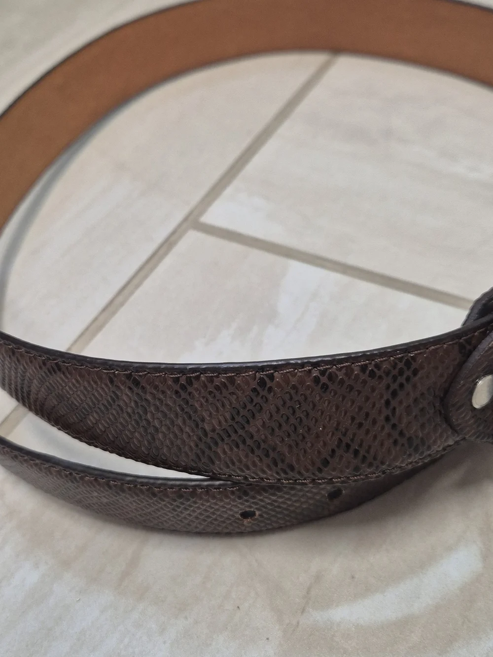 Classic Women's Brown Textured Leather Belt with Polished Buckle